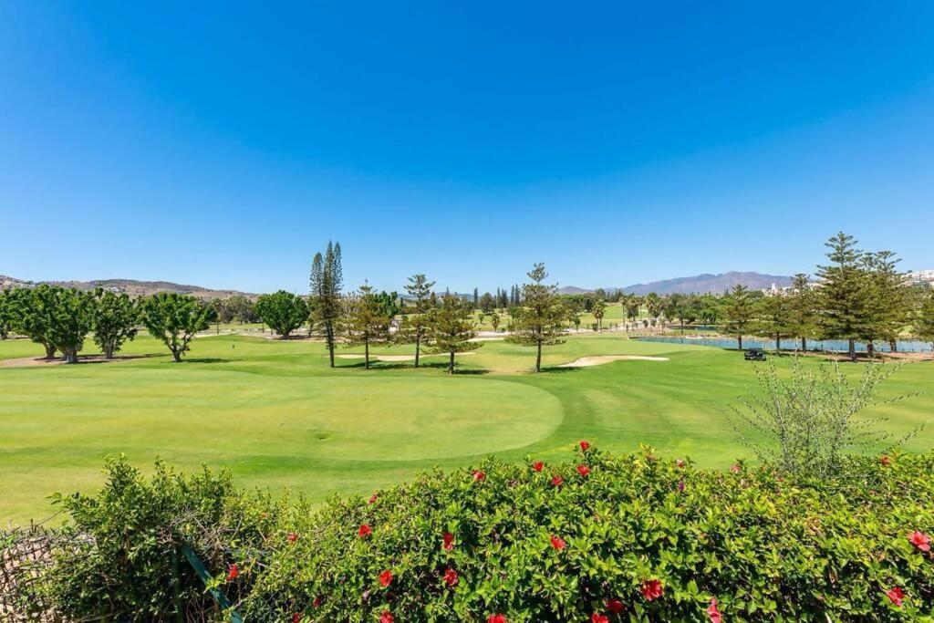 Flat In Matchroom Golf Pool