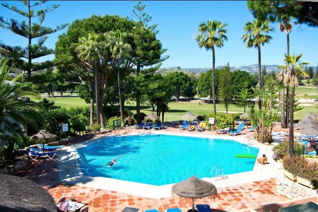 Flat In Matchroom Golf Pool